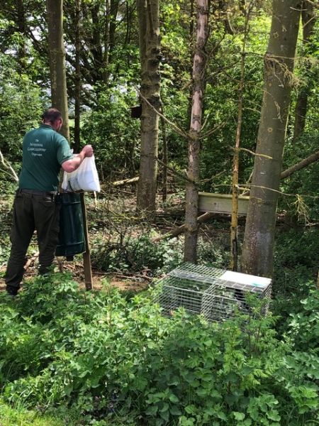 3 legged stool of conservation
