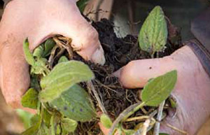 image7 (2)