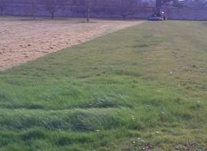 Tractor and grass